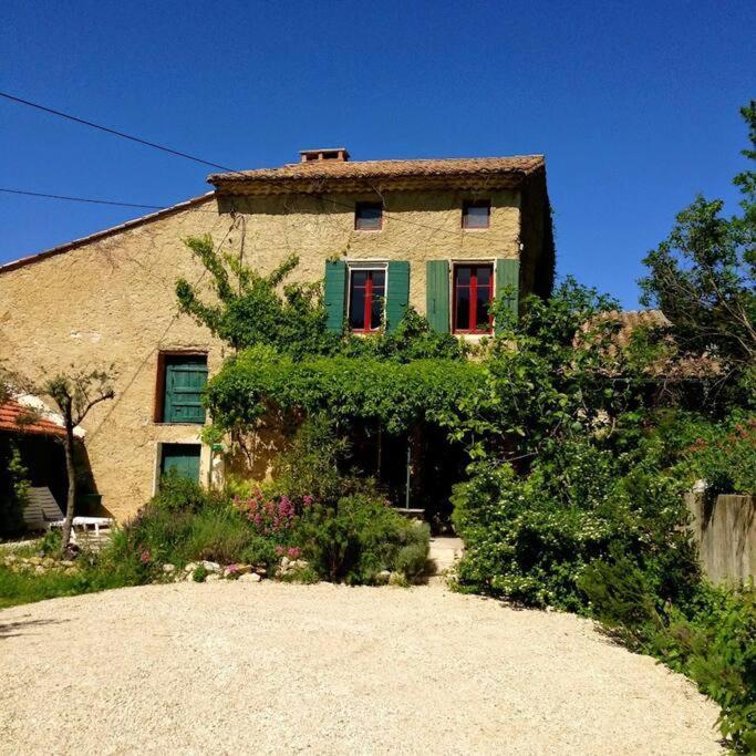 Mas Des Bergines, Au Milieu Des Vignes Villa Vacqueyras Buitenkant foto